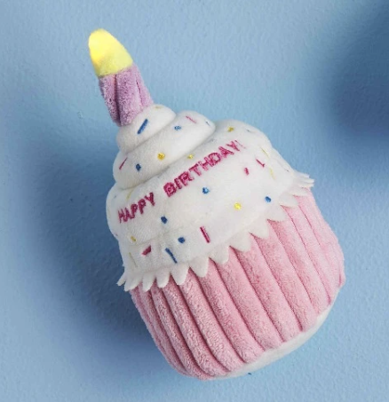 Musical Pink Birthday Cupcake